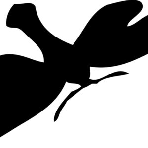 Moth Silhouette 7 Thumbnail