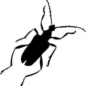 Bug Silhouette 18 Thumbnail