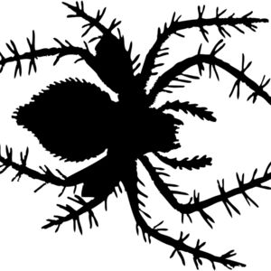 Spider Silhouette 13 Thumbnail