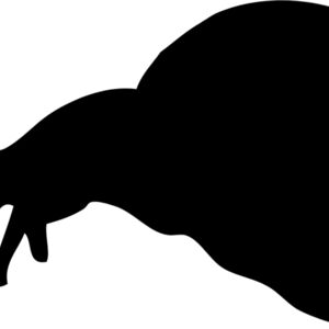 Snail Silhouette 2 Thumbnail