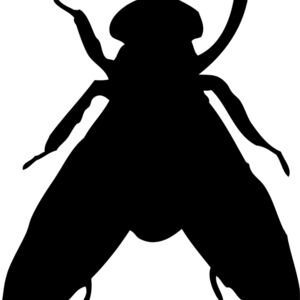 Fly Silhouette 6 Thumbnail