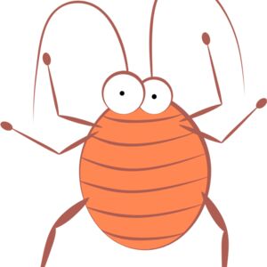 Cartoon Cockroach 1 Thumbnail