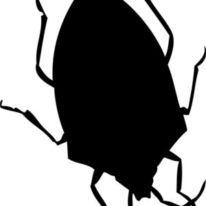 Bed Bug Silhouette 2 Thumbnail