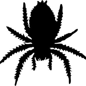 Spider Silhouette 16 Thumbnail