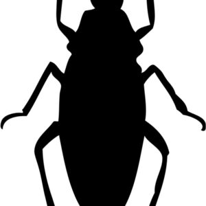 Cockroach Silhouette 3 Thumbnail