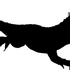 Lizard Silhouette 2 Thumbnail