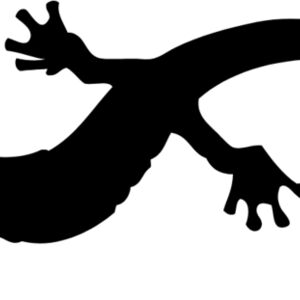 Lizard Silhouette 14 Thumbnail
