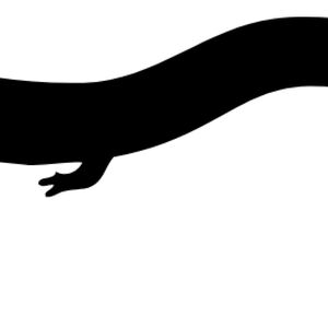 Lizard Silhouette 3 Thumbnail