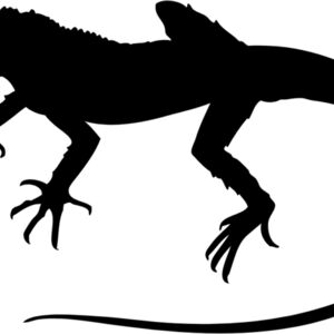 Lizard Silhouette 11 Thumbnail