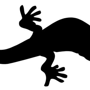 Lizard Silhouette 7 Thumbnail