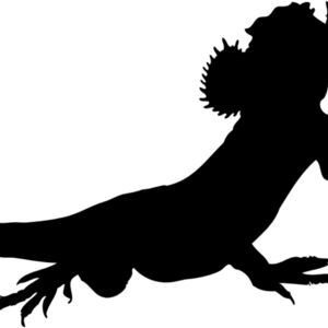 Lizard Silhouette 10 Thumbnail