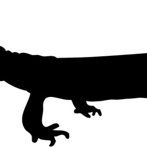 Lizard Silhouette 9 Thumbnail