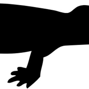 Lizard Silhouette 16 Thumbnail