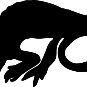 Lizard Silhouette 17 Thumbnail