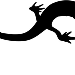 Lizard Silhouette 6 Thumbnail