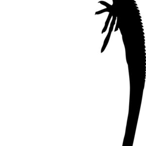 Lizard Silhouette 5 Thumbnail