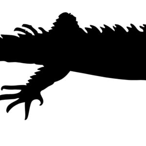 Lizard Silhouette 1 Thumbnail