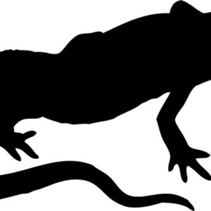 Lizard Silhouette 13 Thumbnail