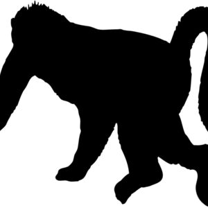 Monkey Silhouette 11 Thumbnail