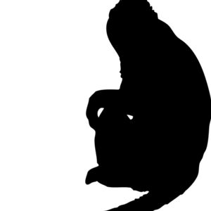 Monkey Silhouette 9 Thumbnail