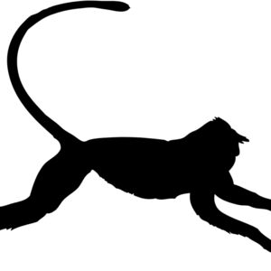 Monkey Silhouette 12 Thumbnail
