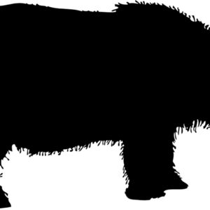Rhino Silhouette 3 Thumbnail