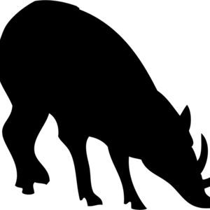 Rhino Silhouette 4 Thumbnail