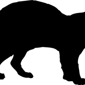 Cheetah Silhouette 3 Thumbnail