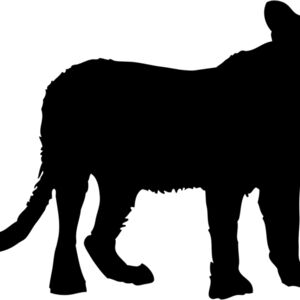 Cheetah Silhouette 1 Thumbnail