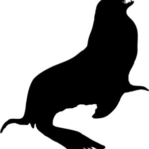 Seal Silhouette 2 Thumbnail