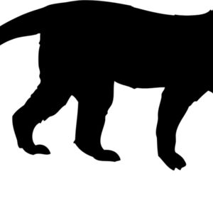 Monkey Silhouette 10 Thumbnail