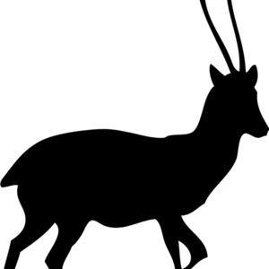 Gazelle Silhouette 1 Thumbnail
