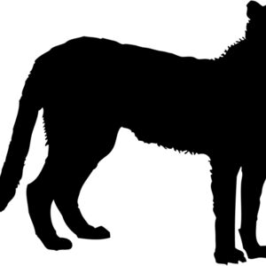 Cheetah Silhouette 2 Thumbnail