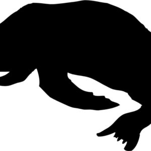 Seal Silhouette 1 Thumbnail