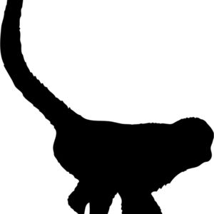 Monkey Silhouette 8 Thumbnail