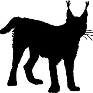 Lynx Silhouette 1 Thumbnail
