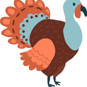 Thanksgiving Turkey 9 Thumbnail
