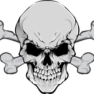 Skull Crossbones 1 Thumbnail
