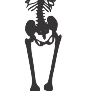Skeleton Silhouette 1 Thumbnail