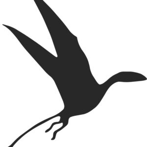 Pterodactyl Dinosaur Silhouette 5 Thumbnail