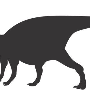 Dinosaur Silhouette 1 Thumbnail