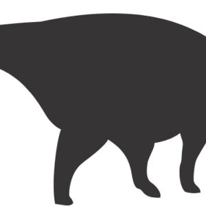 Brachiosaurus Dinosaur Silhouette 1 Thumbnail