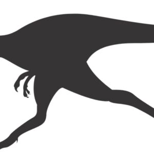 Raptor Dinosaur Silhouette 3 Thumbnail
