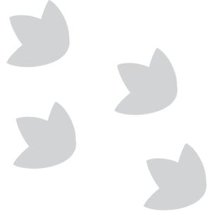 Cartoon Dinosaur Foot Prints 1 Thumbnail