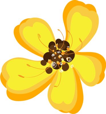 Honeysuckle Flower 1