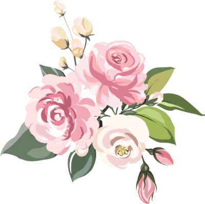 Pink Roses Flower 10
