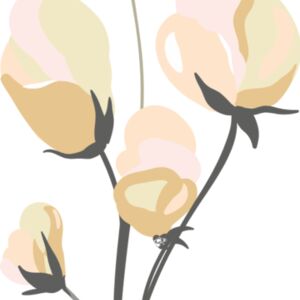 Pink Roses Flower 7 Thumbnail