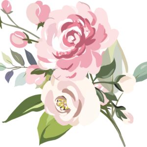 Pink Roses Flower 2 Thumbnail