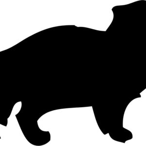Ferret Silhouette 6 Thumbnail