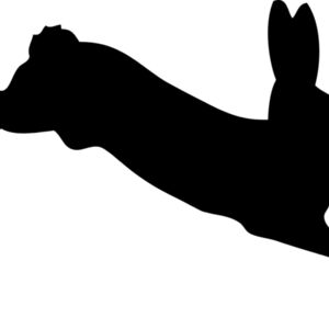 Rabbit Silhouette 1 Thumbnail